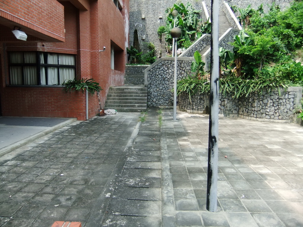 藝東平台圖片